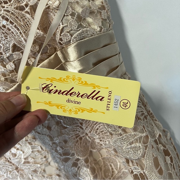 Cinderella Divine 1452 Champagne Beaded & Lace Chiffon Empire Waist Dress Sz 4XL - Picture 3 of 5